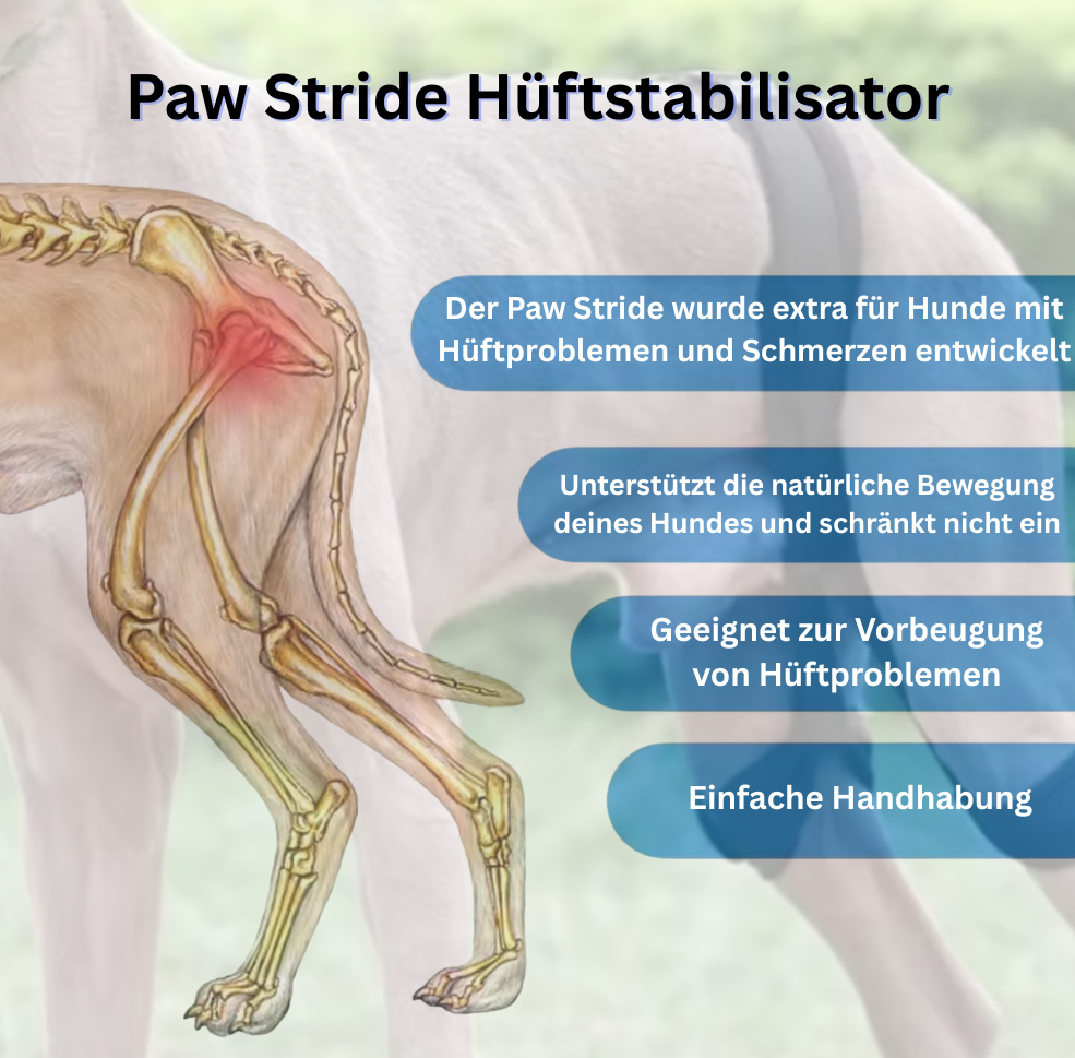 Paw Stride Hüftstabilisator