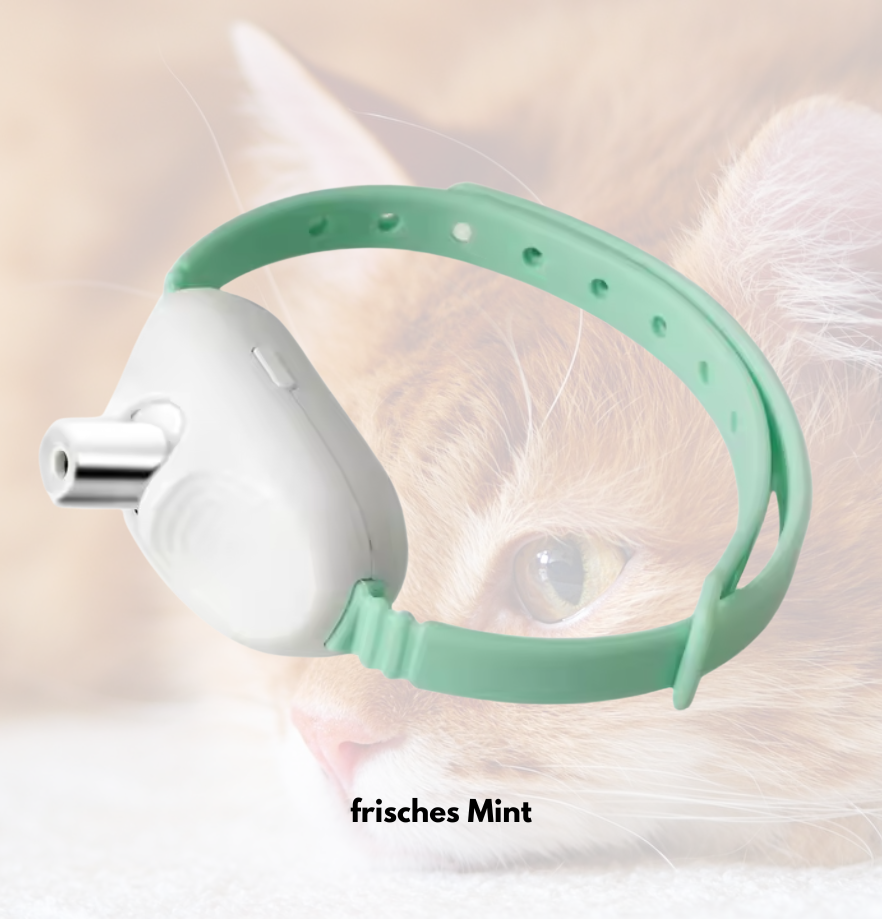KittyLaser Pro Katzenhalsband