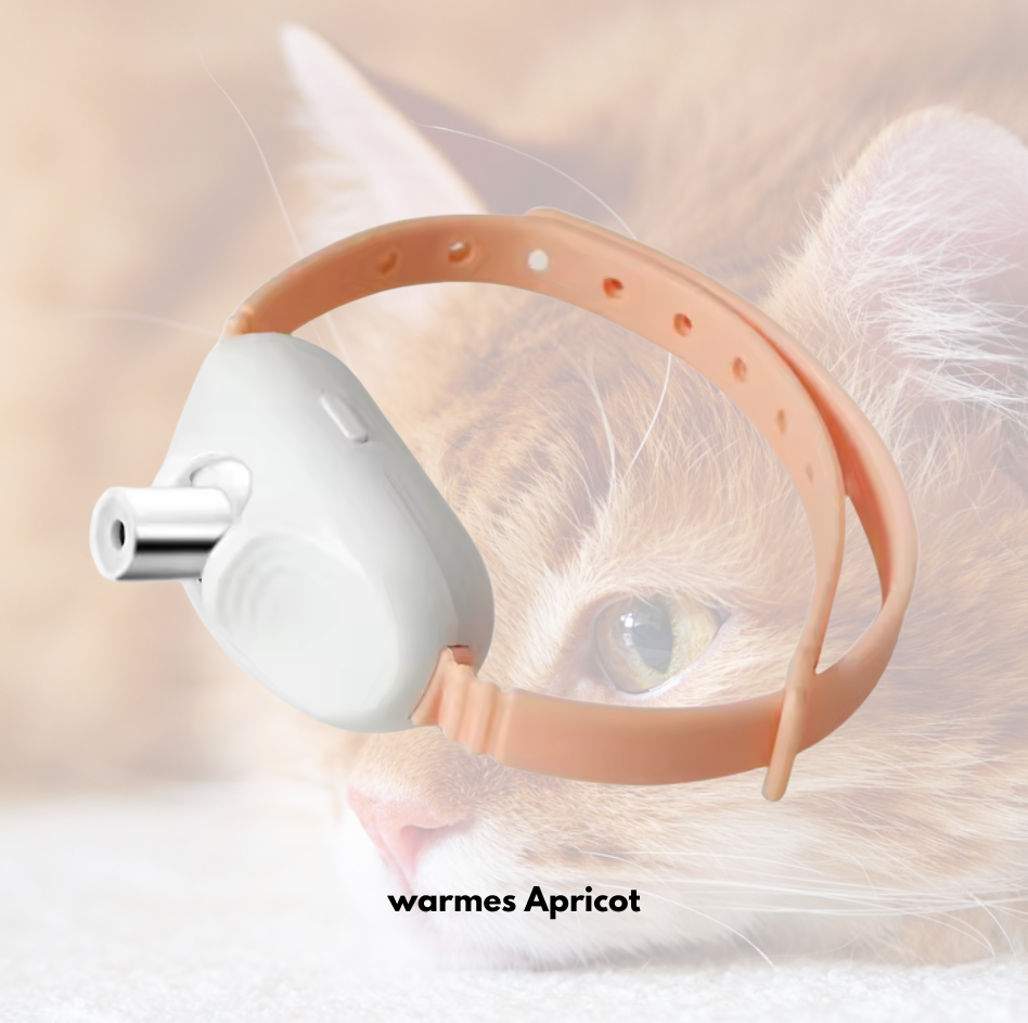 KittyLaser Pro Katzenhalsband